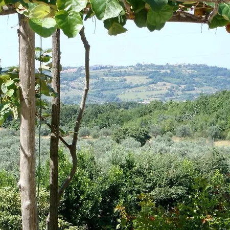 Podere Riparbella *