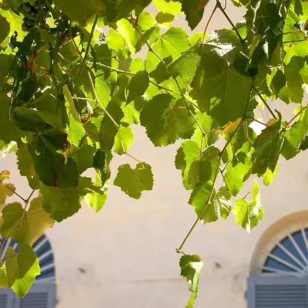 Farm stay Podere Riparbella *